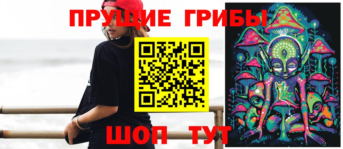 Татарск  Галлюциногенные грибы Cubensis  Вход с VPN 