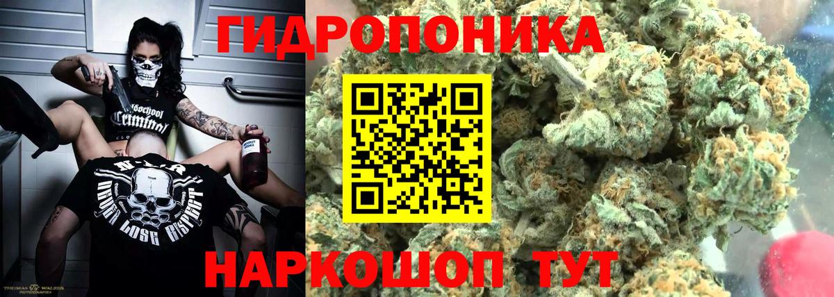 Каннабис конопля Татарск